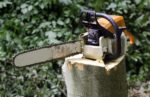 dons-tree-services-stump-grinding.jpg